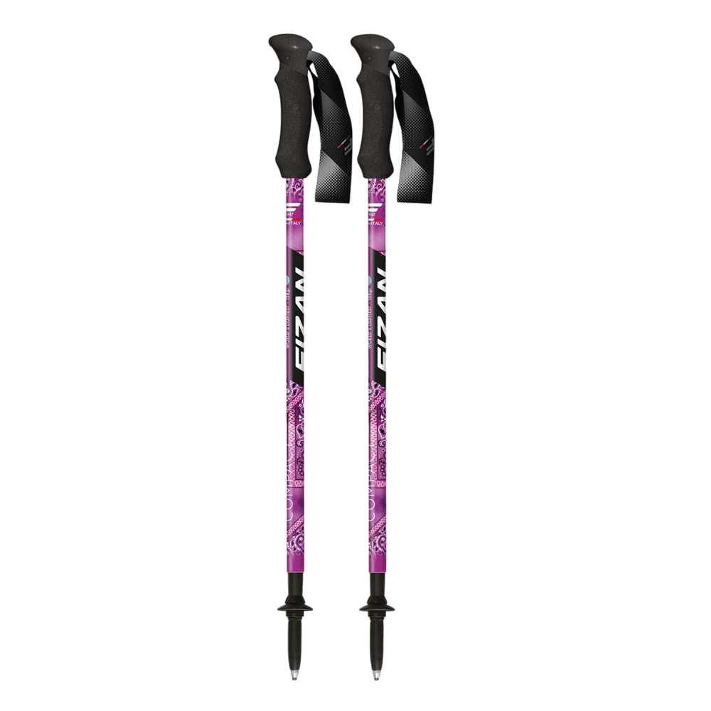 Треккинговые палки Fizan Compact 3 MS 