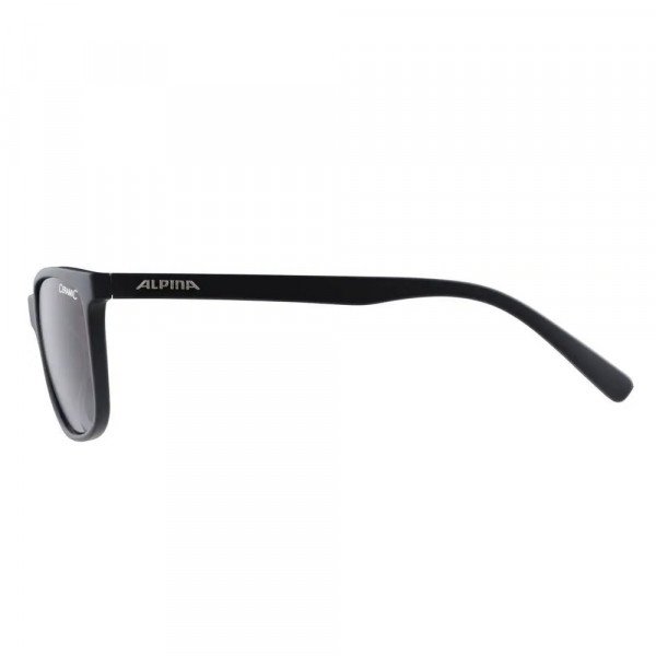 Очки солнцезащитные Alpina Jaida 