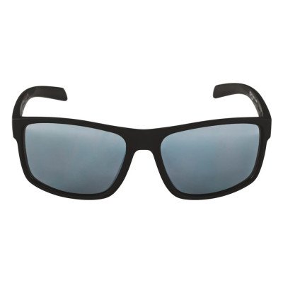 Очки солнцезащитные Alpina NACAN I Очки солнцезащитные Alpina NACAN I