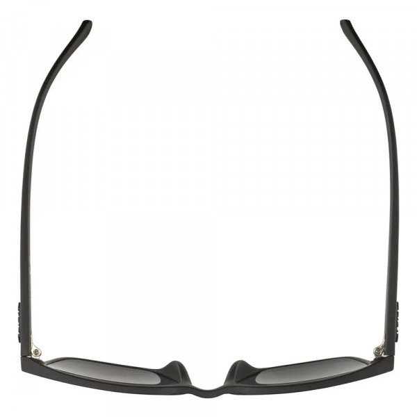 Очки солнцезащитные Alpina Yefe Очки солнцезащитные Alpina Yefe