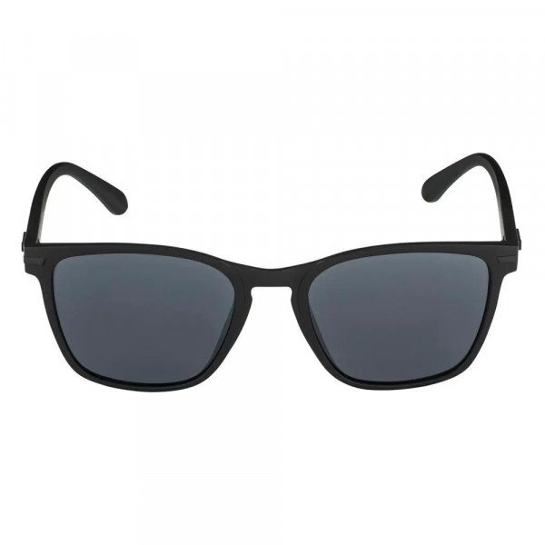 Очки солнцезащитные Alpina Yefe 