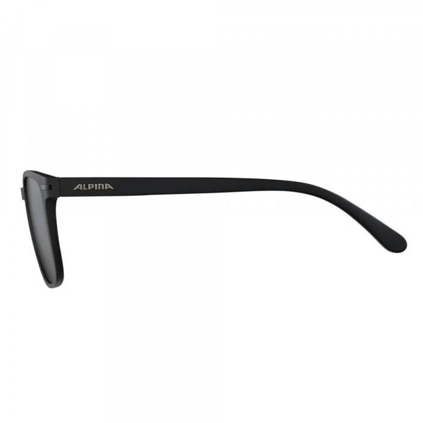 Очки солнцезащитные Alpina Yefe 