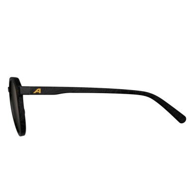 Очки солнцезащитные Alpina Sneek 2.0 Очки солнцезащитные Alpina Sneek 2.0