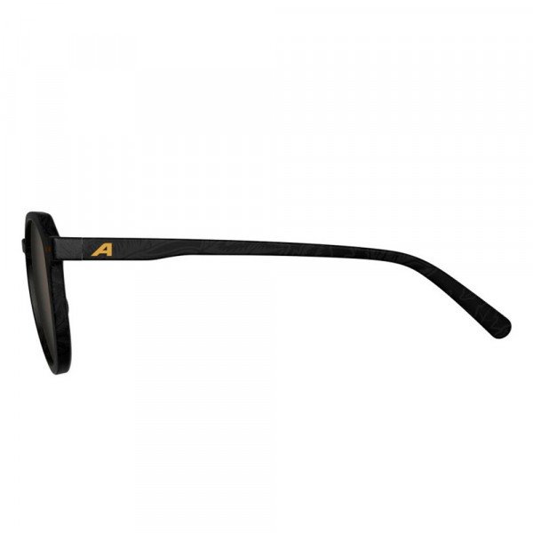 Очки солнцезащитные Alpina Sneek 2.0 Очки солнцезащитные Alpina Sneek 2.0