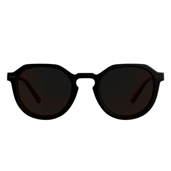 Очки солнцезащитные Alpina Sneek 2.0 Очки солнцезащитные Alpina Sneek 2.0