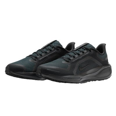 Кроссовки для бега мужские Nike Air zm pegasus 41 gtx 