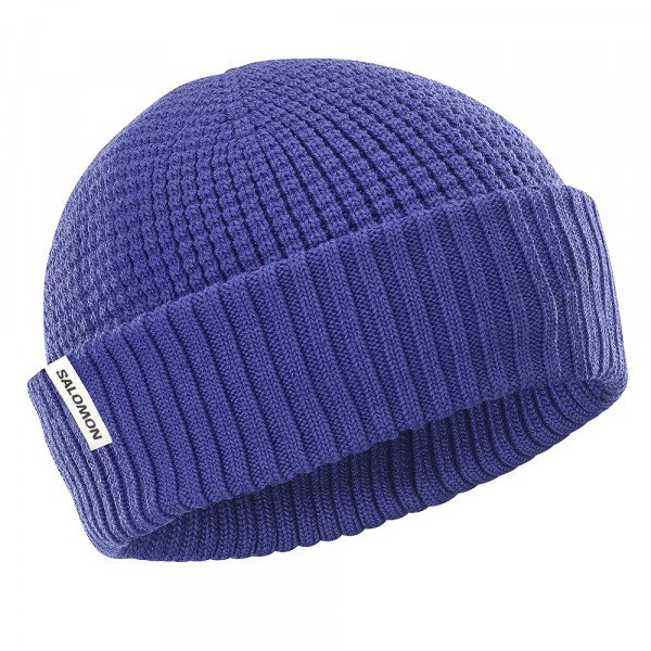 Шапка Salomon Docker 