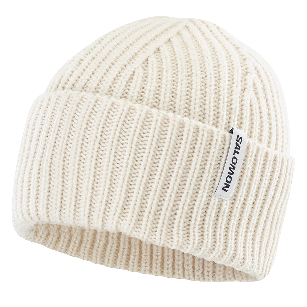 Шапка Salomon Snowbird 