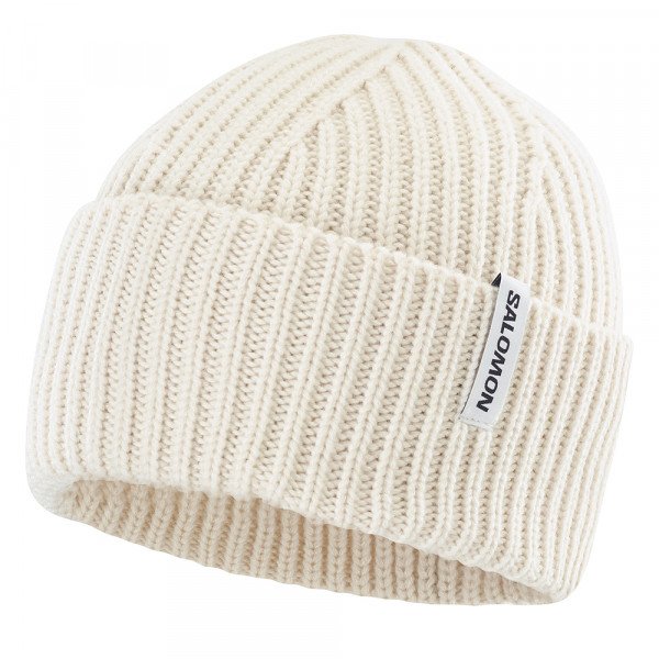 Шапка Salomon Snowbird 