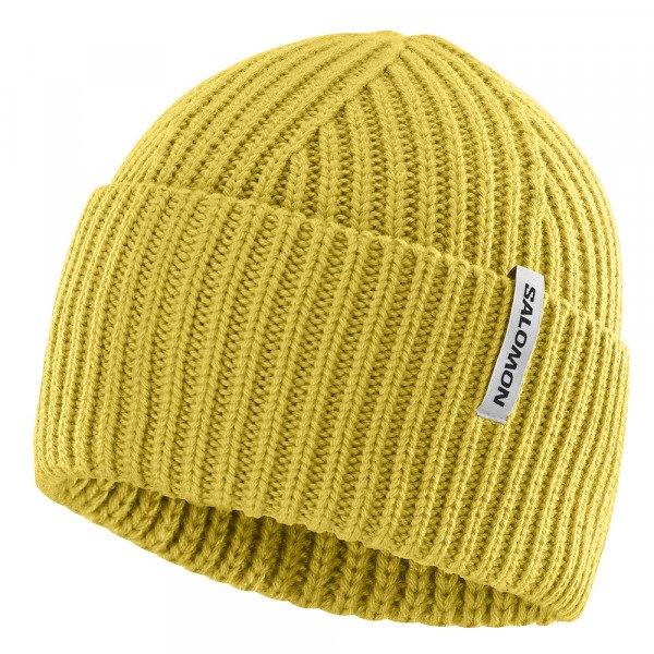 Шапка Salomon Snowbird 