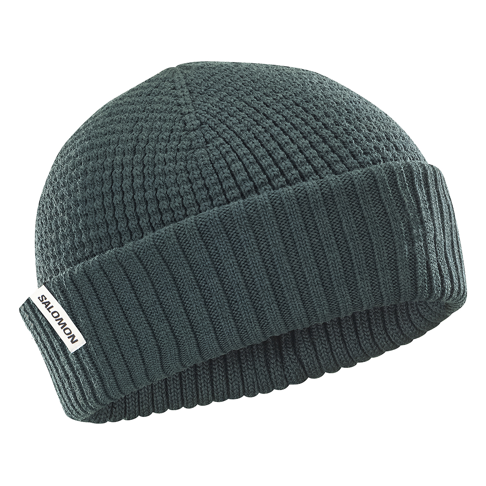 Шапка Salomon Docker 