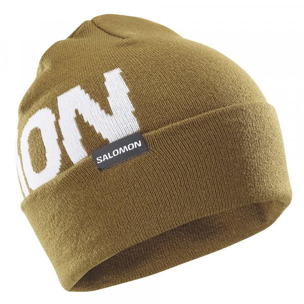 Шапка Salomon Hermitage 