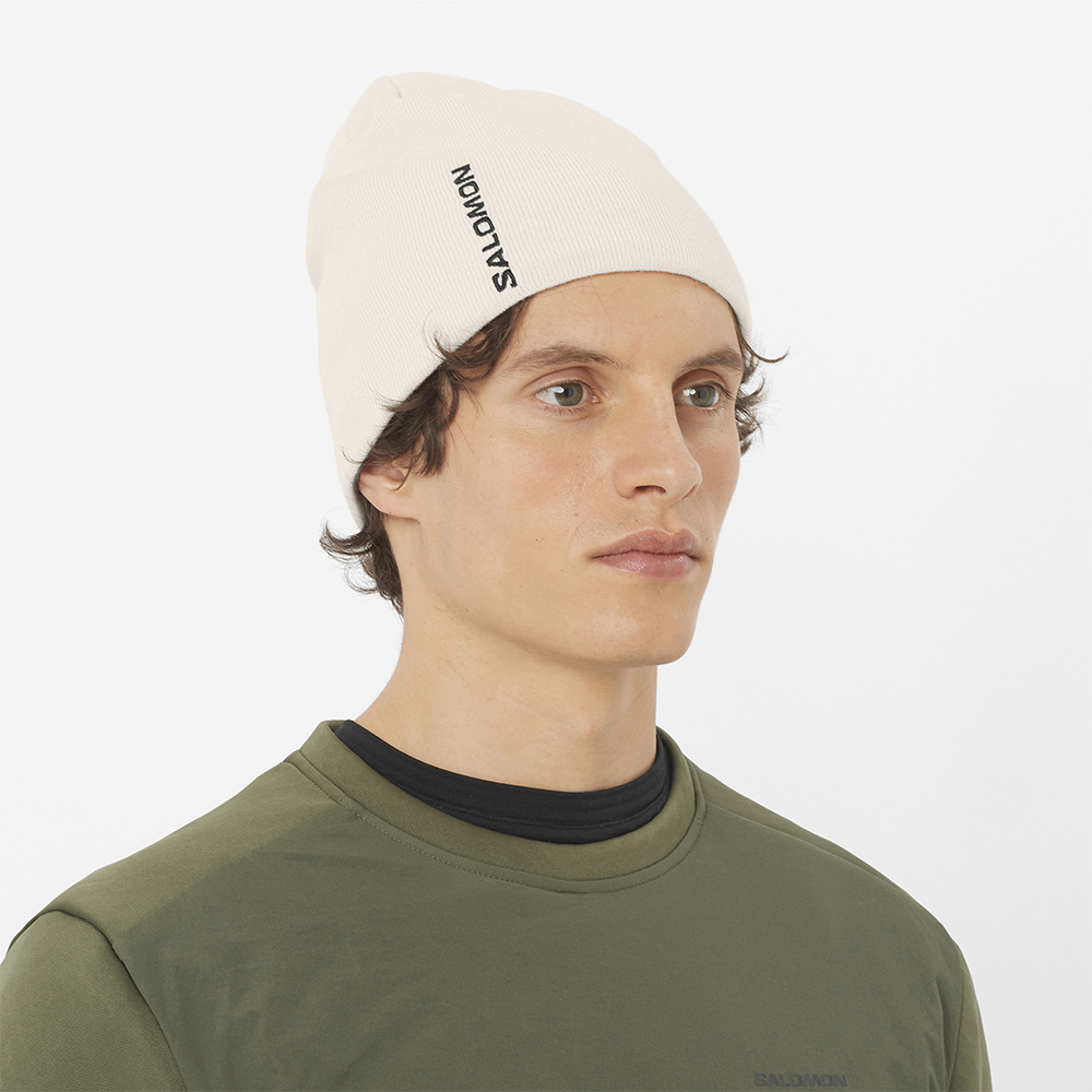 Шапка Salomon Graphic 