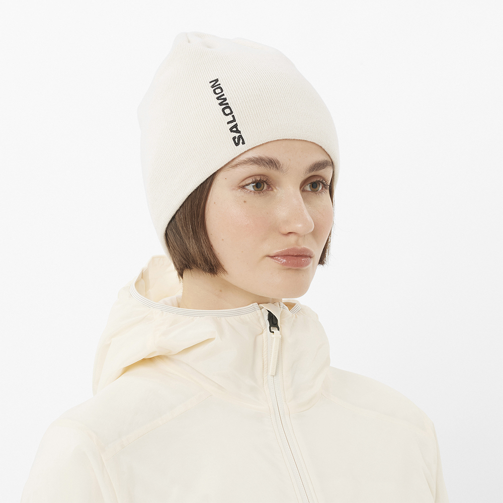 Шапка Salomon Graphic 