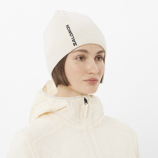 Шапка Salomon Graphic 