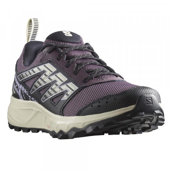 Треккинговые кроссовки женские Salomon Wander 