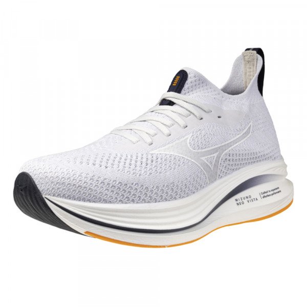 Кроссовки для бега мужские Mizuno Neo Zen 