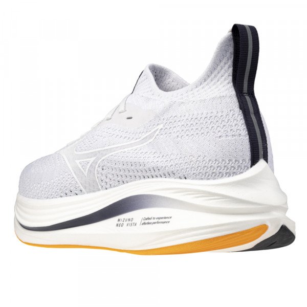 Кроссовки для бега мужские Mizuno Neo Zen 