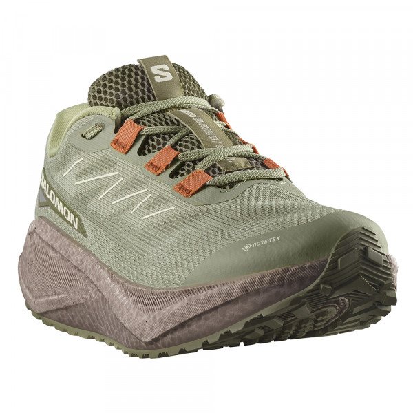 Кроссовки для бега мужские Salomon Aero Blaze 3 Grvl GTX 