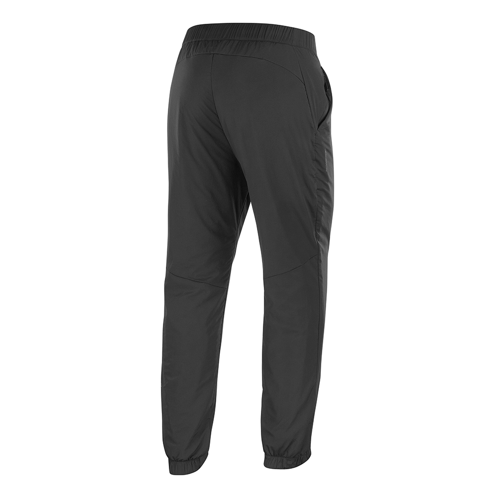 Спортивные брюки утепленные мужские Salomon Mountain Flex 