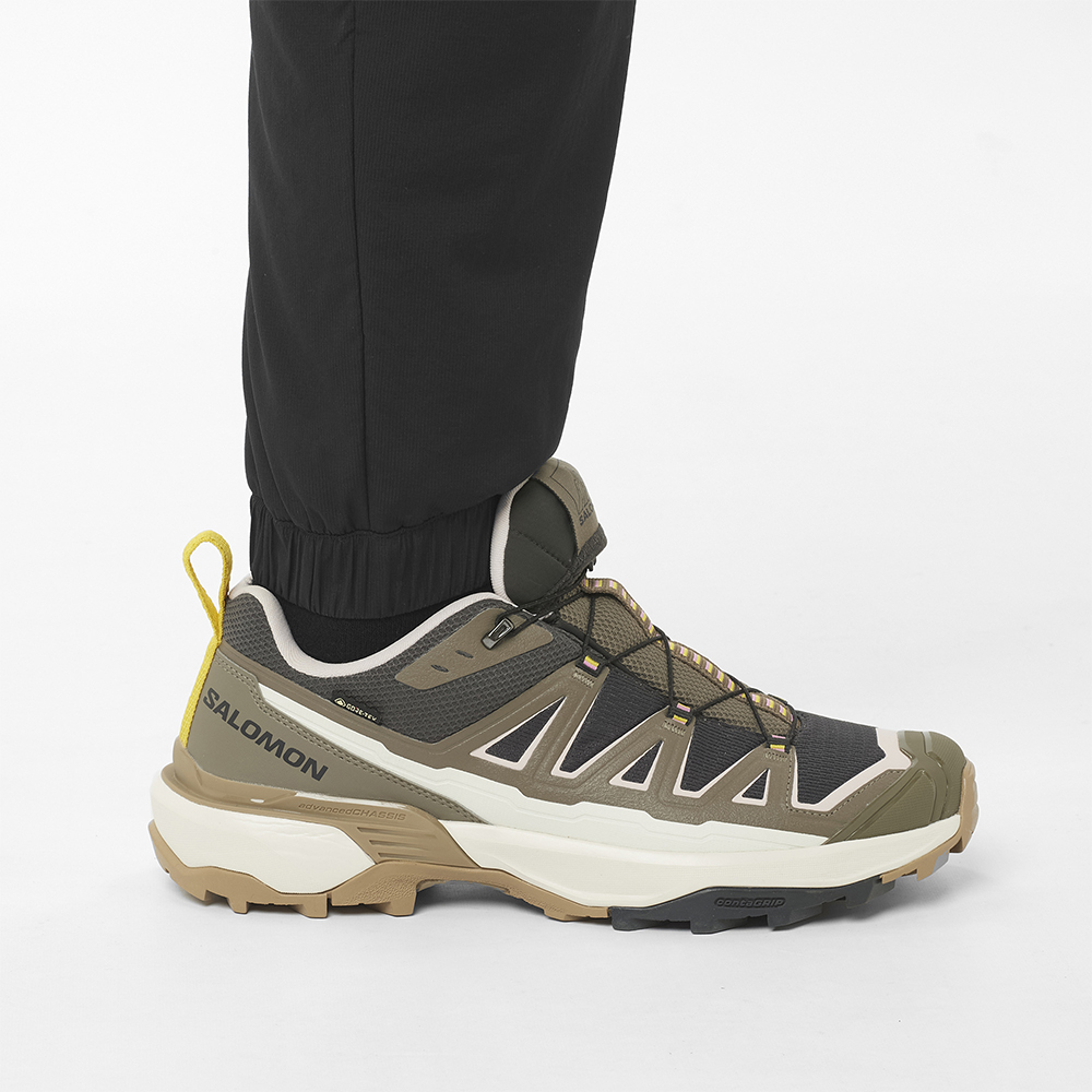 Спортивные брюки утепленные мужские Salomon Mountain Flex 
