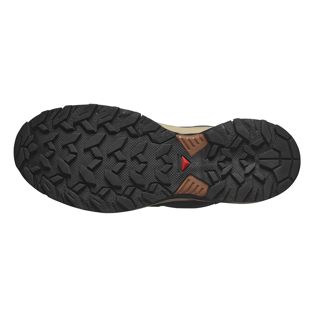 Треккинговые кроссовки мужские Salomon X Ultra 360 Gtx 