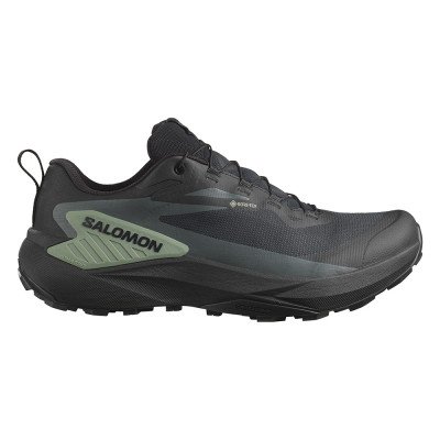 Треккинговые кроссовки мужские Salomon Genesis GTX 