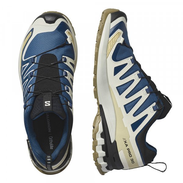 Треккинговые кроссовки мужские Salomon Xa Pro 3D V9 GTX Треккинговые кроссовки мужские Salomon Xa Pro 3D V9 GTX