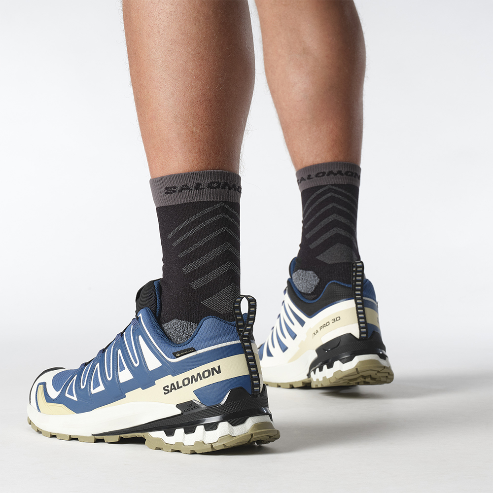 Треккинговые кроссовки мужские Salomon Xa Pro 3D V9 GTX Треккинговые кроссовки мужские Salomon Xa Pro 3D V9 GTX