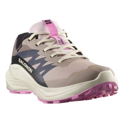 Кроссовки для бега женские Salomon Alphaglide gtx Кроссовки для бега женские Salomon Alphaglide gtx