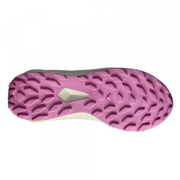 Кроссовки для бега женские Salomon Alphaglide gtx 