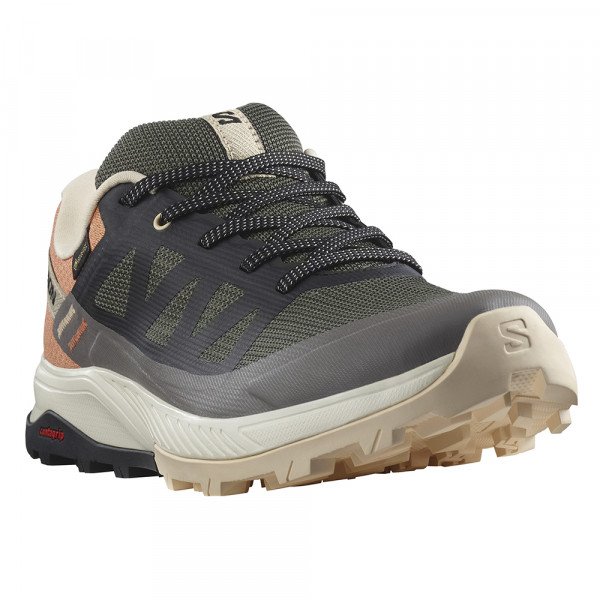 Треккинговые кроссовки женские Salomon Outrise gtx 