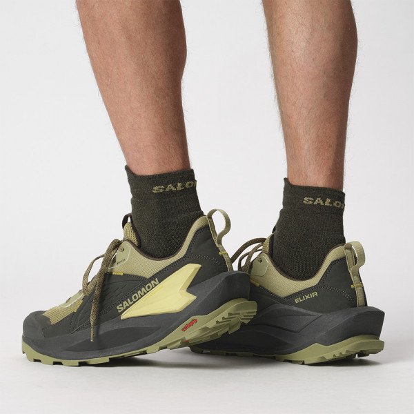 Треккинговые кроссовки мужские Salomon Elixir gore tex 