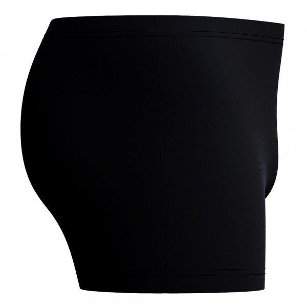 Плавки-шорты мужские Speedo Medley logo 