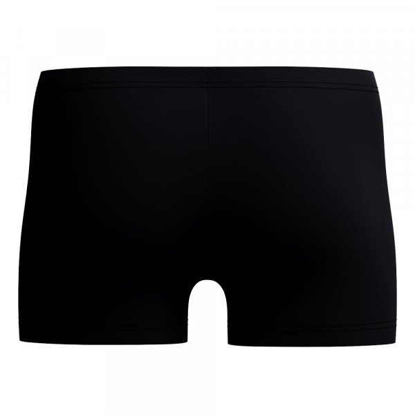 Плавки-шорты мужские Speedo Medley logo 