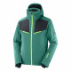 Куртка горнолыжная мужская Salomon Brilliant 
