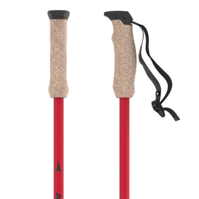 Палки горнолыжные Atomic Amt Carbon 