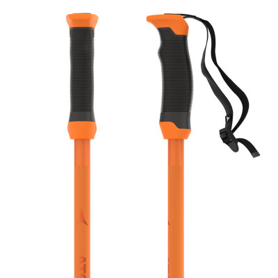 Палки горнолыжные Atomic Redster Q 