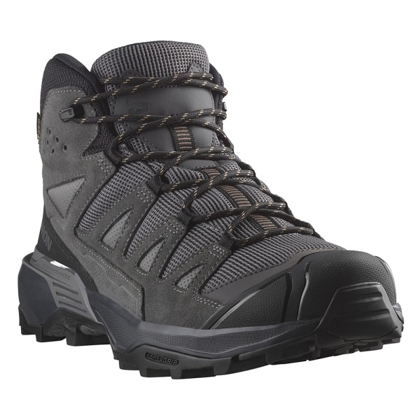Треккинговые ботинки мужские Salomon X Ultra 360 Ltr Mid GTX 
