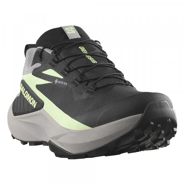 Треккинговые кроссовки женские Salomon Genesis GTX 