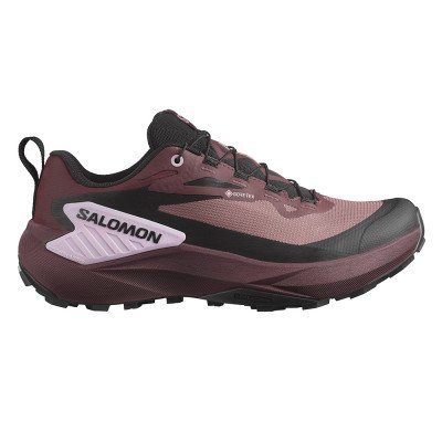 Треккинговые кроссовки женские Salomon Genesis GTX 