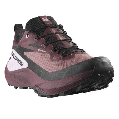 Треккинговые кроссовки женские Salomon Genesis GTX 