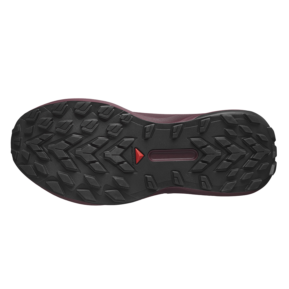 Треккинговые кроссовки женские Salomon Genesis GTX 