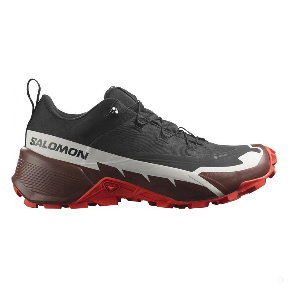 Треккинговые кроссовки мужские Salomon Cross Hike 2 Gtx