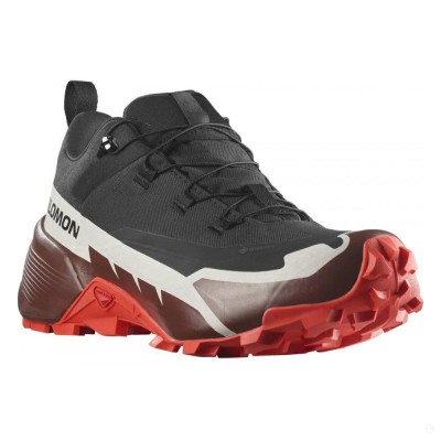 Треккинговые кроссовки мужские Salomon Cross Hike 2 Gtx