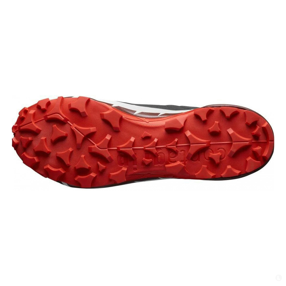 Треккинговые кроссовки мужские Salomon Cross Hike 2 Gtx