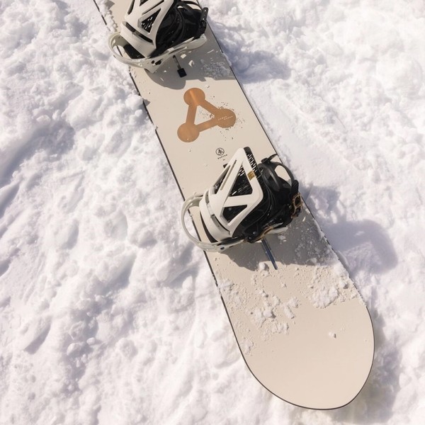 Сноуборд мужской Burton Family Tree Power Wagon - 2024 