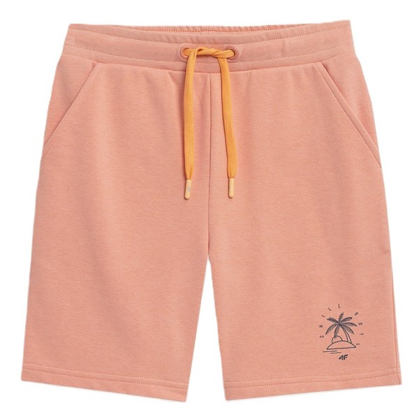 Шорты 4F детские Boy Шорты 4F детские Boy
