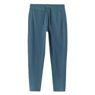 Брюки мужские 4F Sportstyle 