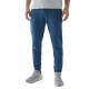 Брюки мужские 4F Sportstyle 